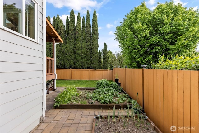 fenced backyard featuring a garden