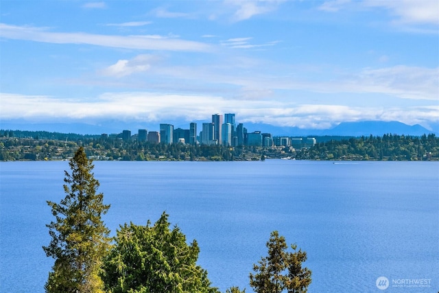 815 33rd Ave S, Seattle, WA 98144 - water view featuring a skyline view