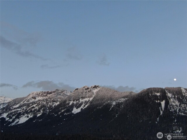 91 Arlberg Pl, Snoqualmie Pass, WA 98068 - photo 7