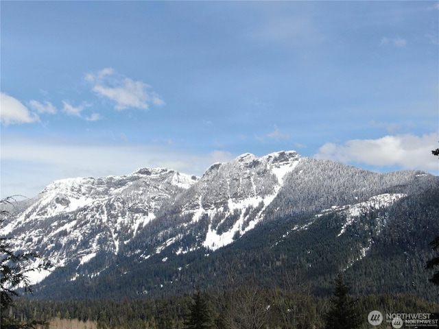 91 Arlberg Pl, Snoqualmie Pass, WA 98068 - photo 4
