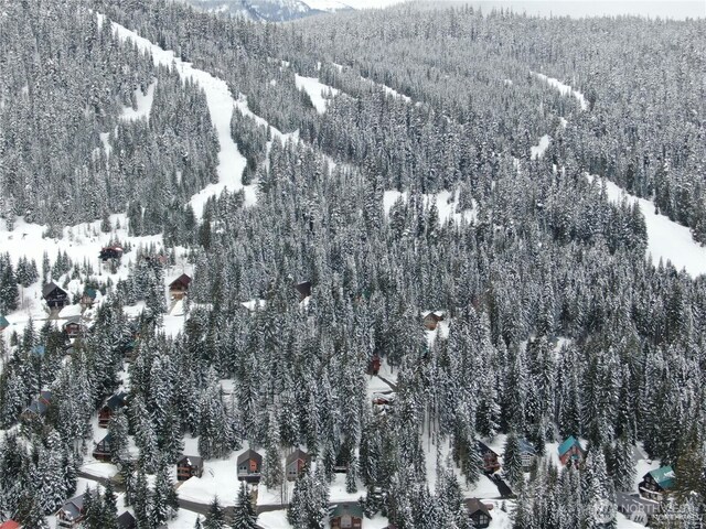 91 Arlberg Pl, Snoqualmie Pass, WA 98068 - photo 3