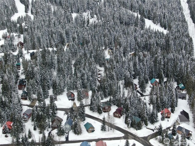 91 Arlberg Pl, Snoqualmie Pass, WA 98068 - photo 5