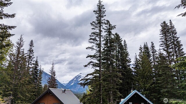 91 Arlberg Pl, Snoqualmie Pass, WA 98068 - photo 8