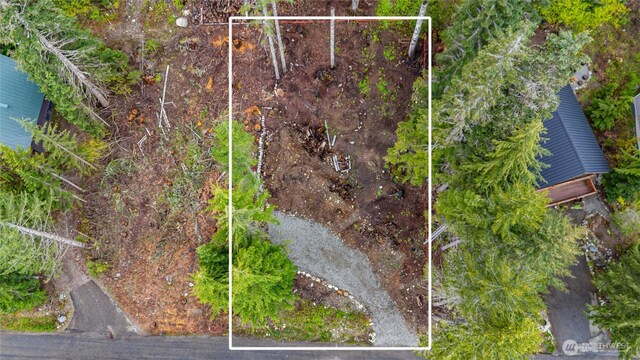 91 Arlberg Pl, Snoqualmie Pass, WA 98068 - photo 12
