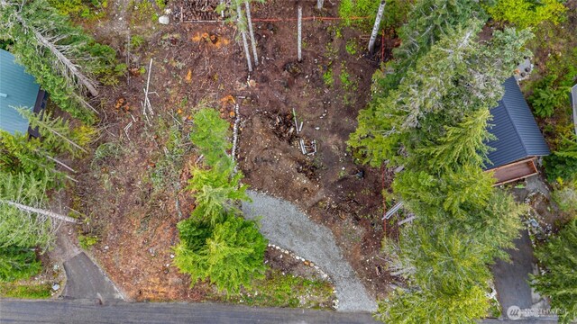 91 Arlberg Pl, Snoqualmie Pass, WA 98068 - photo 13