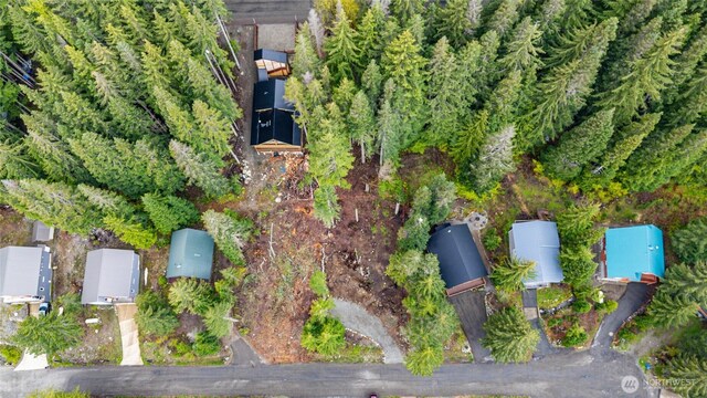 91 Arlberg Pl, Snoqualmie Pass, WA 98068 - photo 15