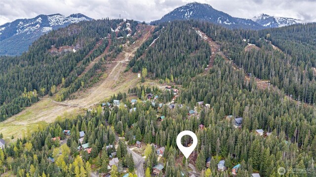91 Arlberg Pl, Snoqualmie Pass, WA 98068 - photo 17