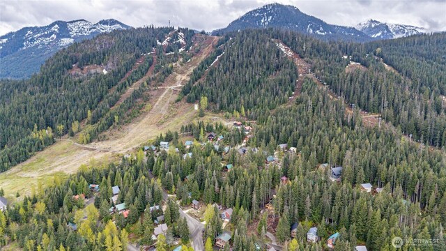 91 Arlberg Pl, Snoqualmie Pass, WA 98068 - photo 18