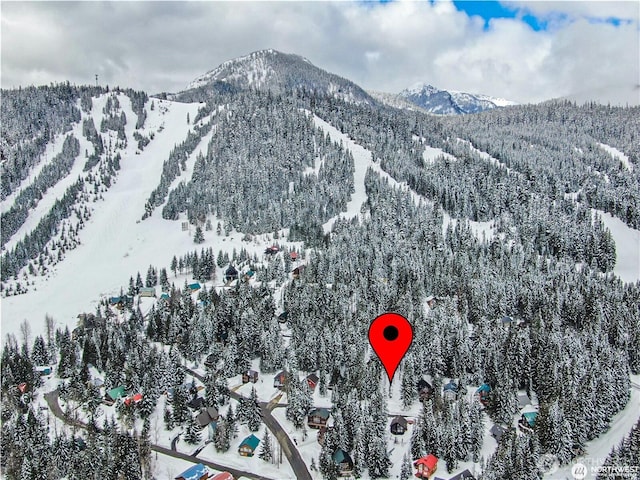 91 Arlberg Pl, Snoqualmie Pass, WA 98068 - photo 1