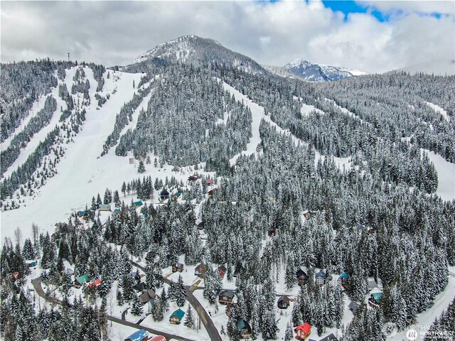 91 Arlberg Pl, Snoqualmie Pass, WA 98068 - photo 2