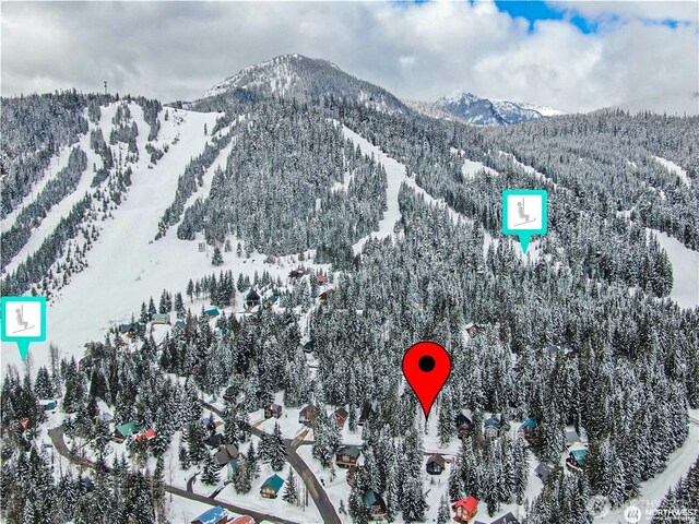 91 Arlberg Pl, Snoqualmie Pass, WA 98068 - photo 19