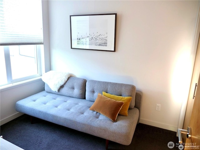 sitting room with baseboards and carpet flooring