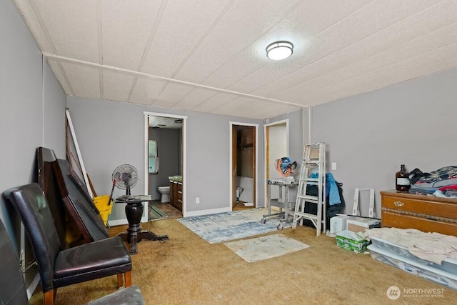 1410 Stone Rd, Yakima, WA 98908 - below grade area with carpet flooring