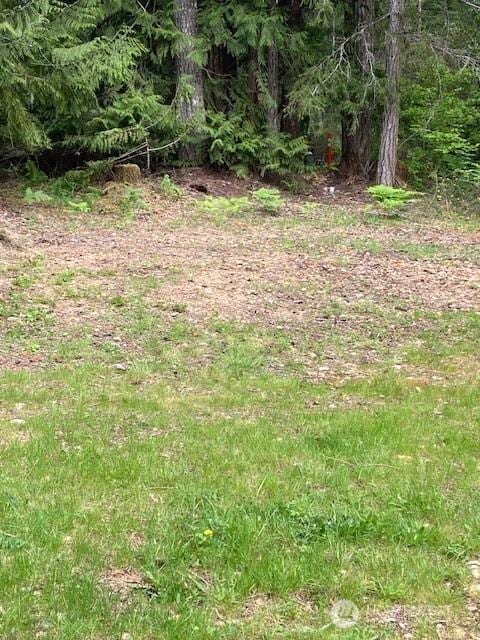 201 N Duckabush Dr E, Hoodsport, WA 98548