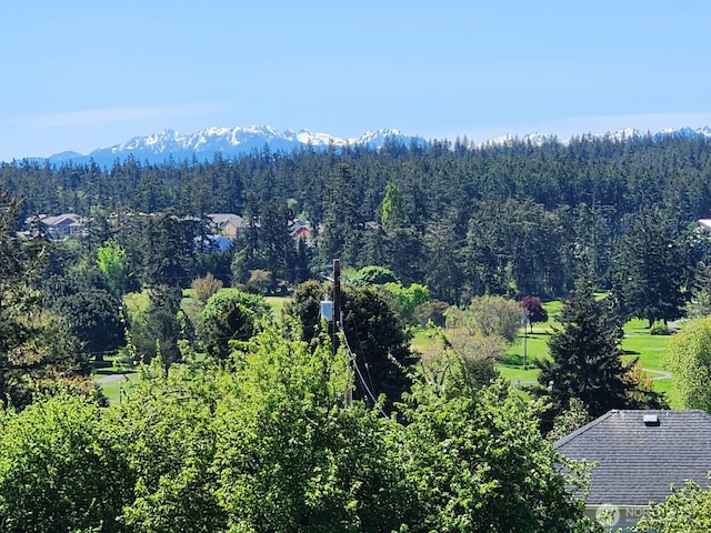 drone / aerial view of a heavily wooded area and a mountain backdrop