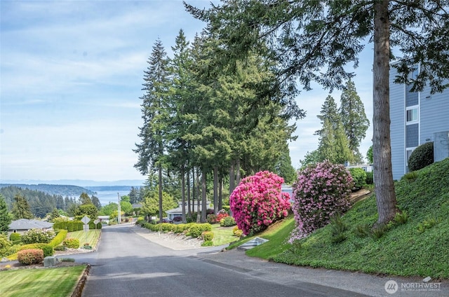 7400 Stinson Ave Unit 149, Gig Harbor, WA 98335 - photo 2