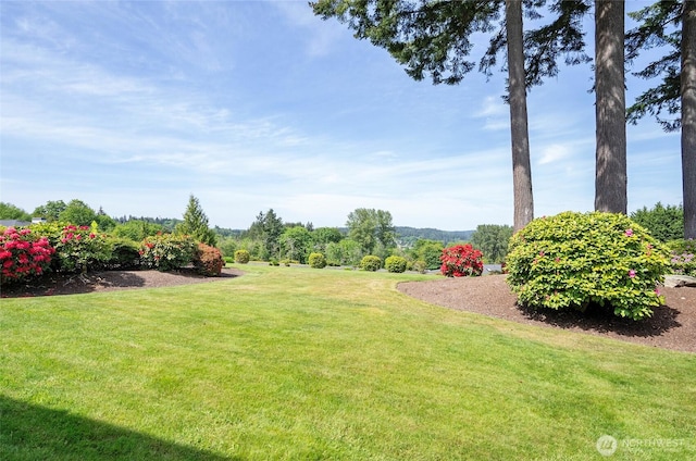 7400 Stinson Ave Unit 149, Gig Harbor, WA 98335 - photo 15