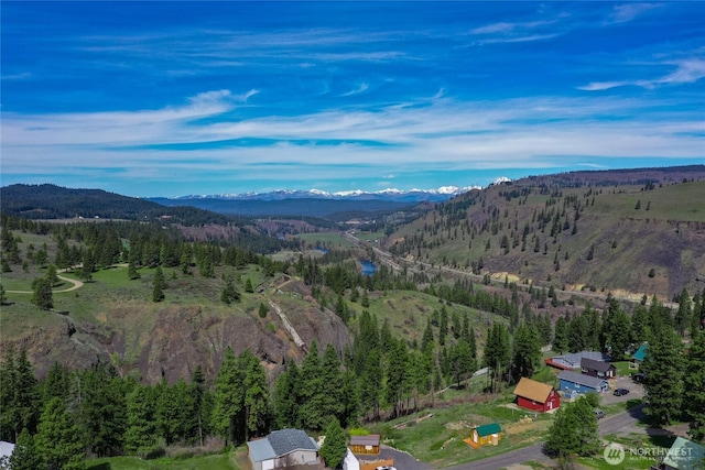 490 Morrison Canyon Ln, Cle Elum, WA 98922 - aerial view of property and surrounding area with mountains and a forest
