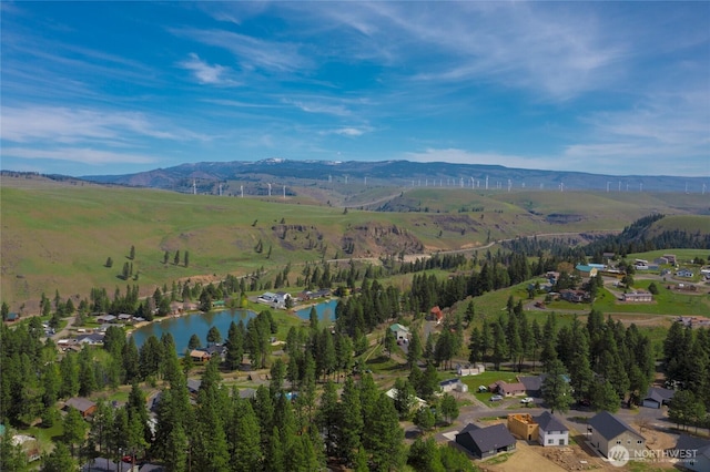 490 Morrison Canyon Ln, Cle Elum, WA 98922 - aerial view of property and surrounding area with a water and mountain view