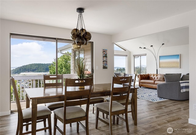 dining space featuring wood finished floors