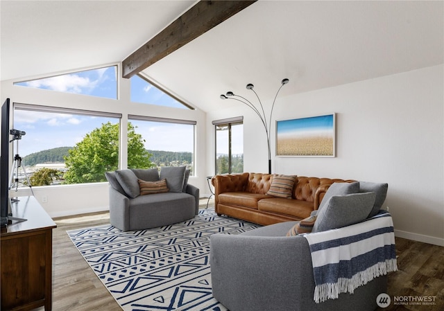 living area featuring healthy amount of natural light, baseboards, and wood finished floors