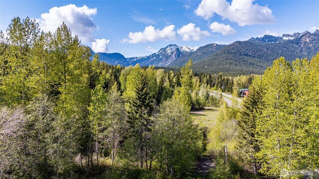50LOT Rampart Dr, Snoqualmie Pass, WA 98068 - photo 3