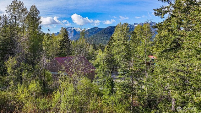 50LOT Rampart Dr, Snoqualmie Pass, WA 98068 - photo 5