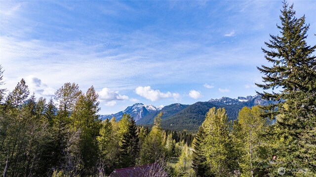 50LOT Rampart Dr, Snoqualmie Pass, WA 98068 - photo 7