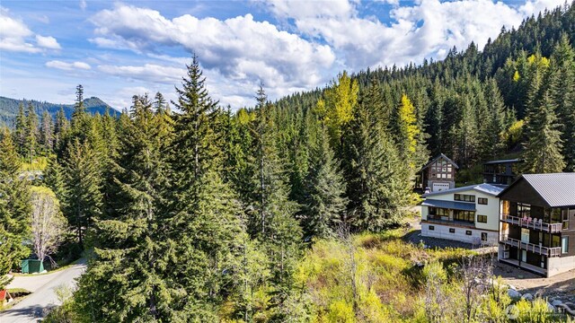 50LOT Rampart Dr, Snoqualmie Pass, WA 98068 - photo 8