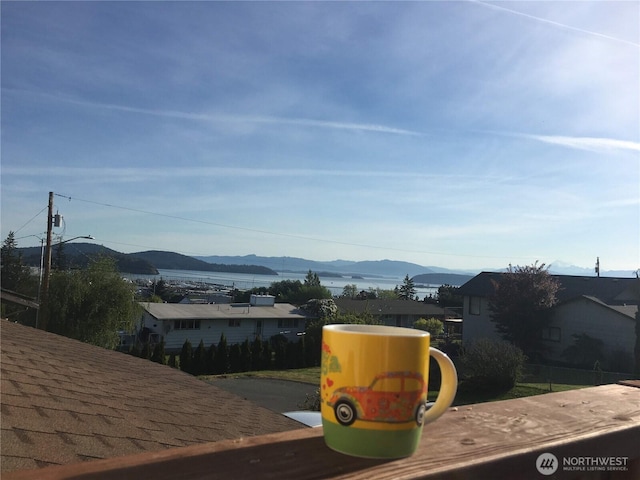 3812 R Ave, Anacortes, WA 98221 - mountain view