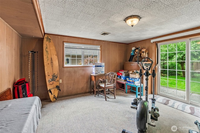 exercise area with healthy amount of natural light, carpet, and wooden walls