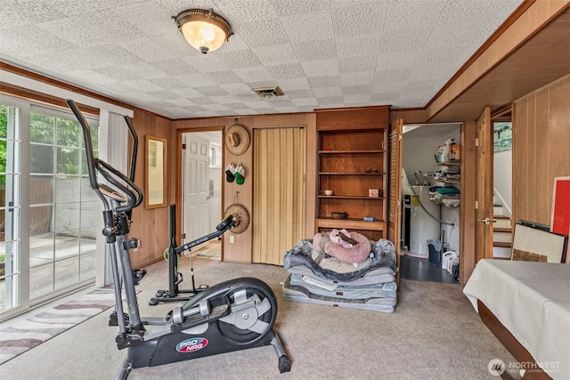exercise room with wood walls, carpet floors, and ornamental molding