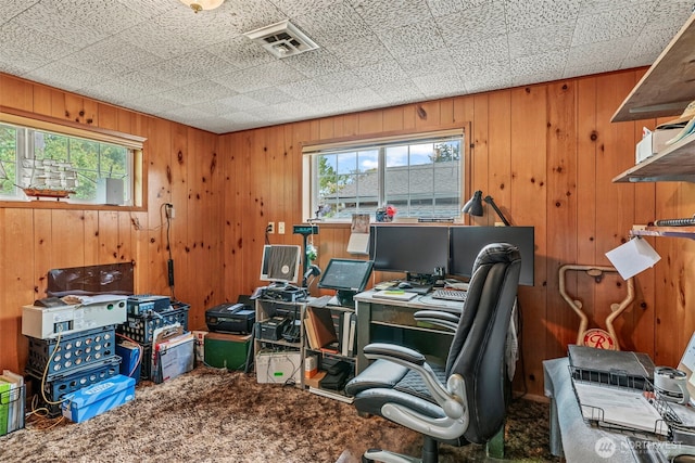carpeted office space with plenty of natural light and wooden walls