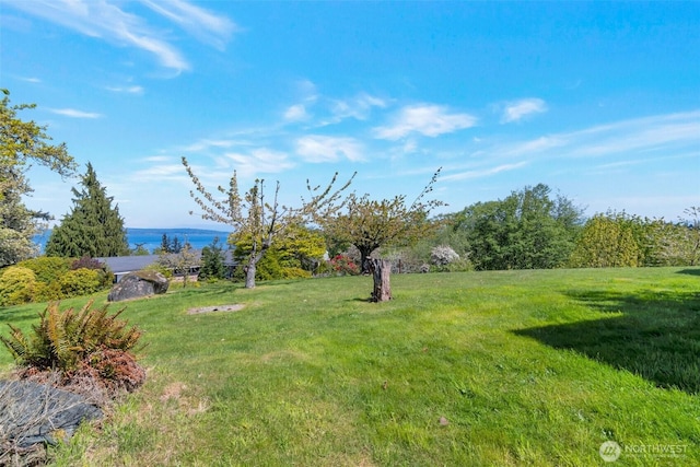 1926 Maple St, Everett, WA 98208 - photo 8