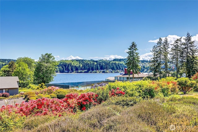 10 Olympic Pl Unit 10, Port Ludlow, WA 98365 - water view featuring a heavily wooded area