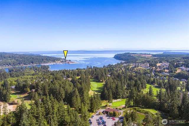 10 Olympic Pl Unit 10, Port Ludlow, WA 98365 - bird's eye view of a heavily wooded area and a nearby body of water