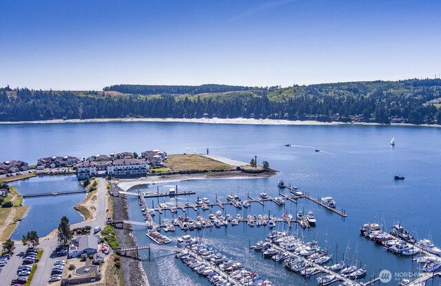 10 Olympic Pl Unit 10, Port Ludlow, WA 98365 - water view with numerous boat docks and a forest