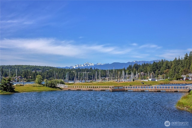 10 Olympic Pl Unit 10, Port Ludlow, WA 98365 - water view featuring mountains and a forest