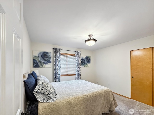 4207 Campus Green Loop NE, Lacey, WA 98516 - bedroom featuring baseboards and carpet