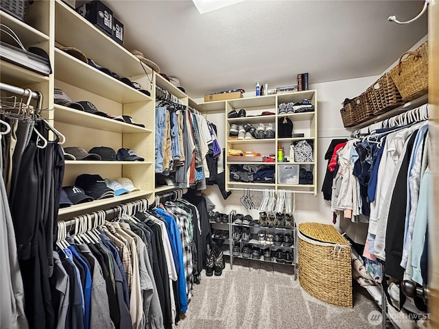 4207 Campus Green Loop NE, Lacey, WA 98516 - walk in closet featuring carpet