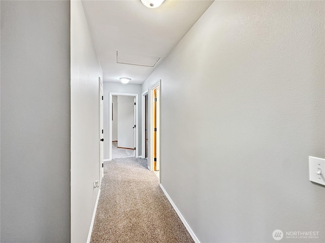 4207 Campus Green Loop NE, Lacey, WA 98516 - hallway featuring carpet flooring and baseboards