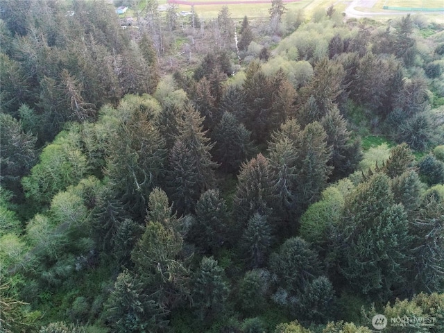 0 S W Blvd, Aberdeen, WA 98520