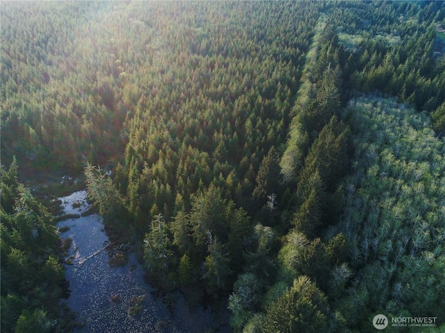 0 Ocean Beach Rd, Copalis Crossing, WA 98536