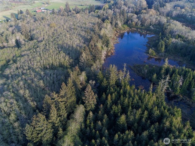0 Ocean Beach Rd, Copalis Crossing, WA 98536