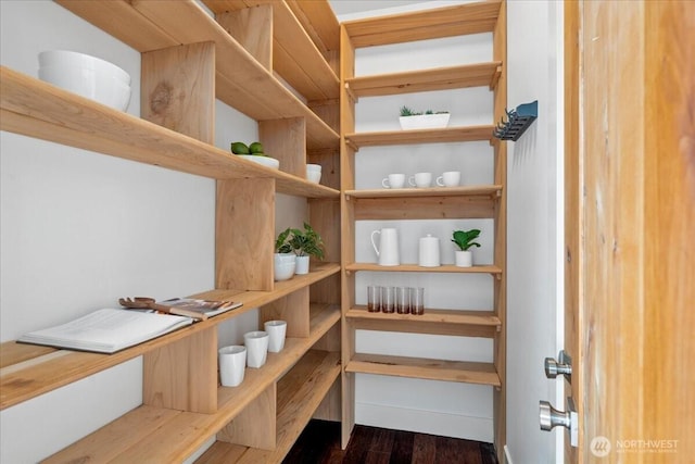 8607 436th Ave SE, North Bend, WA 98045 - view of pantry
