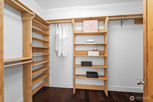 8607 436th Ave SE, North Bend, WA 98045 - walk in closet with dark wood-style floors