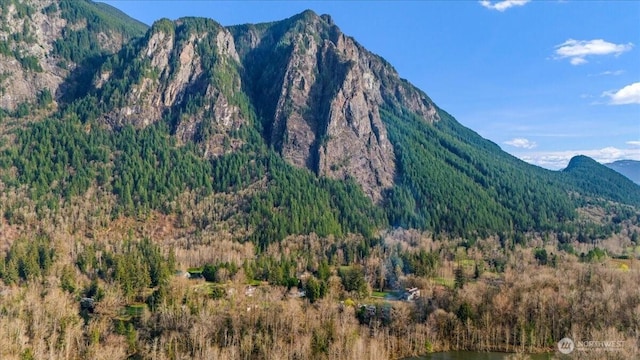 8607 436th Ave SE, North Bend, WA 98045 - view of mountain backdrop featuring a heavily wooded area