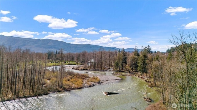 8607 436th Ave SE, North Bend, WA 98045 - view of mountain background with a heavily wooded area