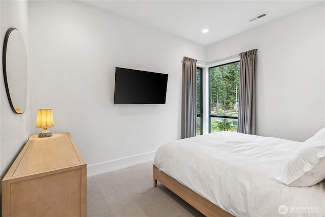 1501 Kokanee Loop, Cle Elum, WA 98922 - bedroom with carpet flooring, baseboards, and recessed lighting
