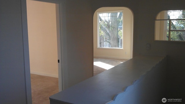 4815 S J St, Tacoma, WA 98408 - dining room with healthy amount of natural light, baseboards, and carpet